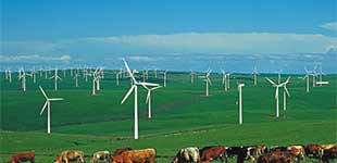 內蒙古大唐國際觀后旗紅牧風電場一期工程
